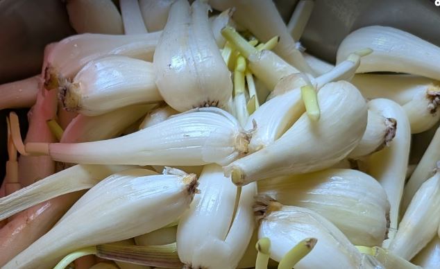 酢をつかわないらっきょう漬!